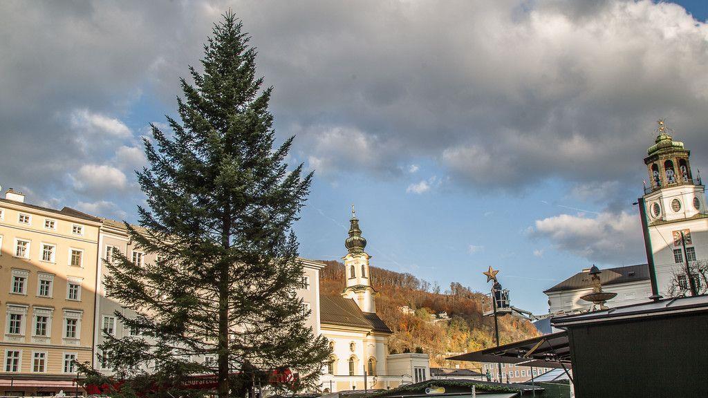 Christbaum am Residenzplatz I