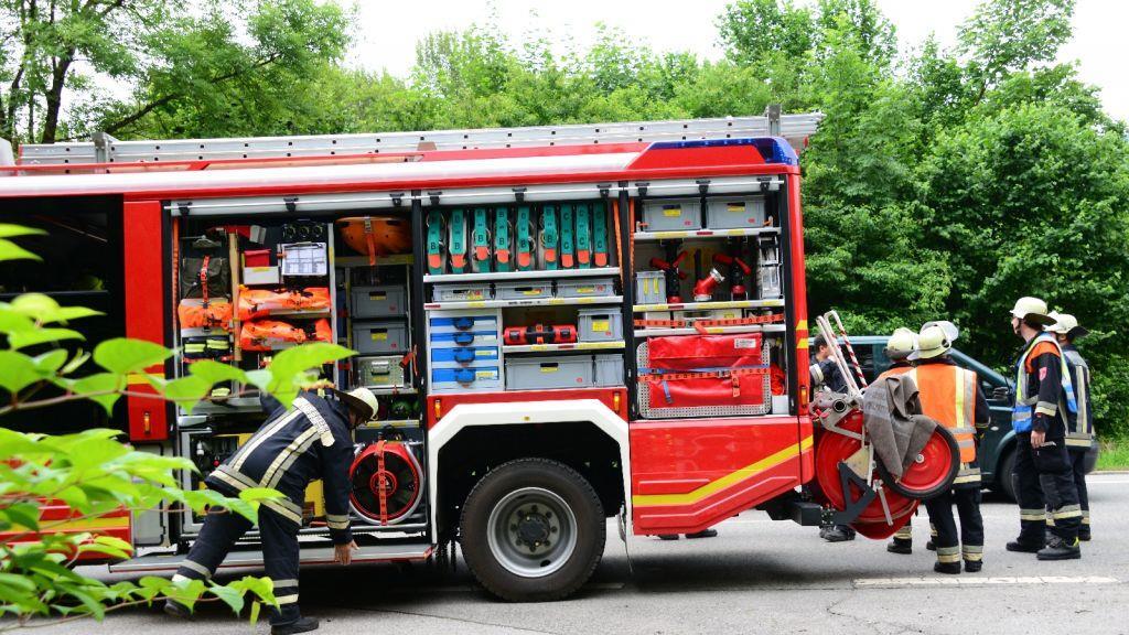 Pinzgauerinnen in Bayern verletzt, I