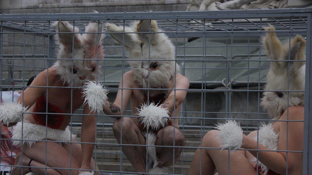 Tierschützerinnen protestieren nackt vor Parlament (Käfige)