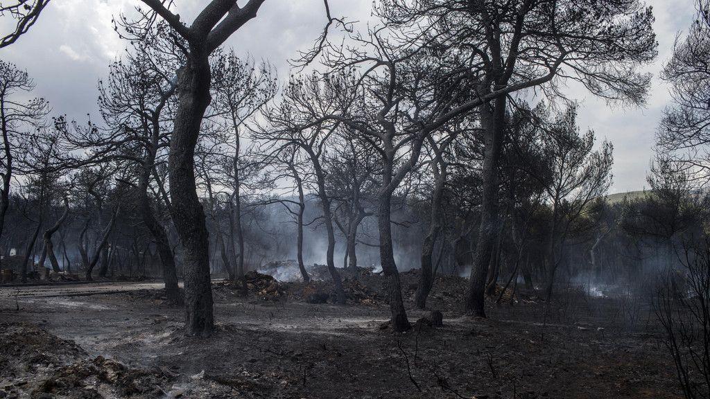 Waldbrand in Athen: Tag 2