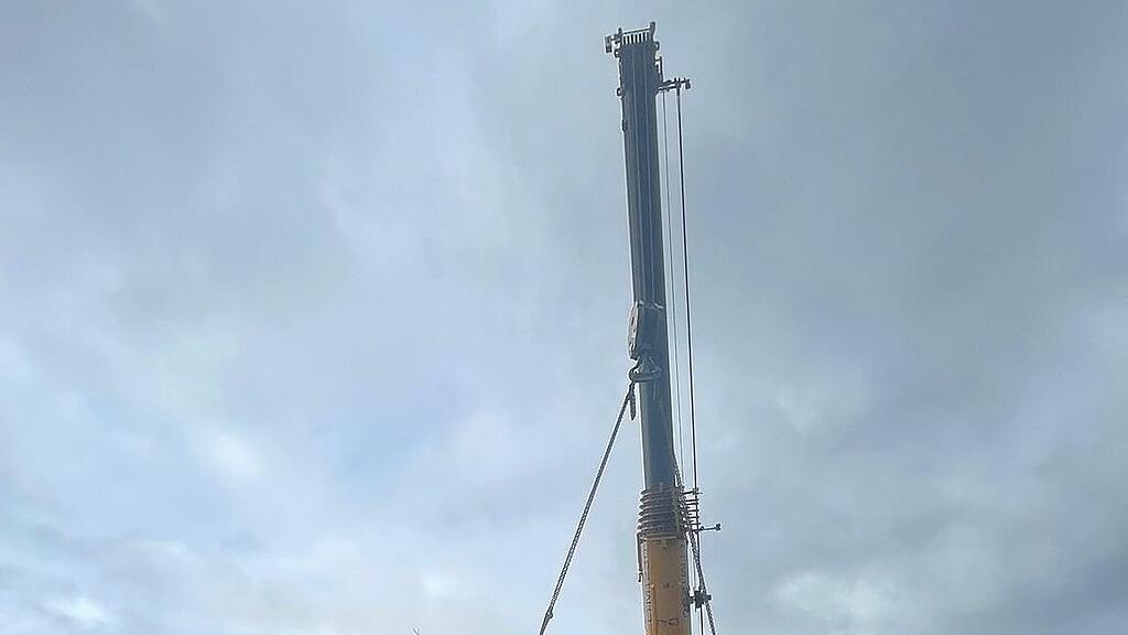 Christbaum wird verladen