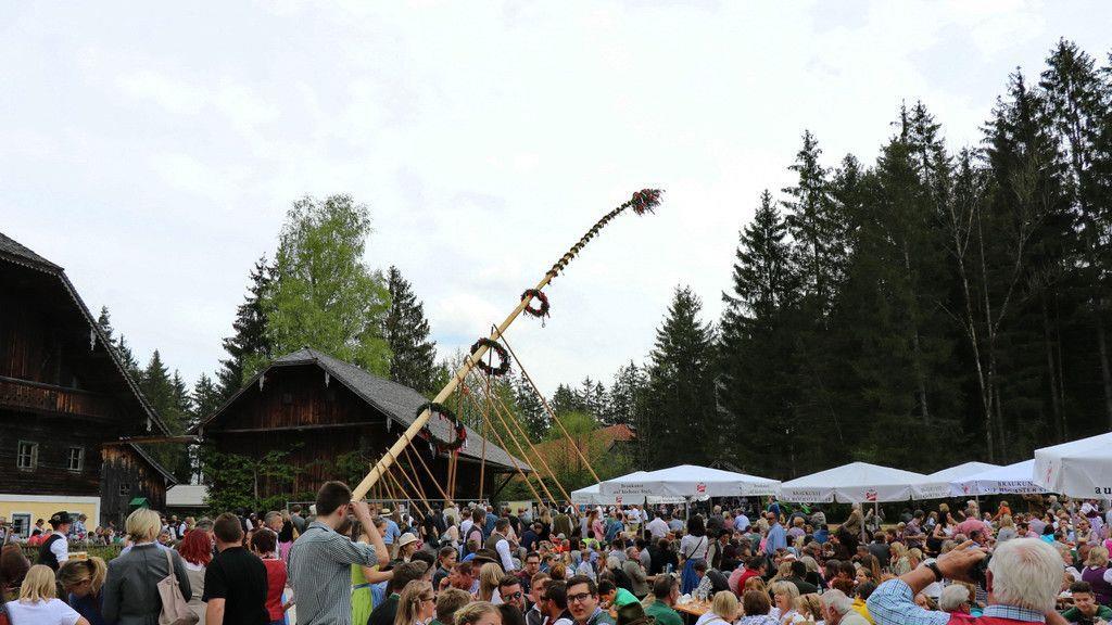 Maibaumaufstellen im Freileichtmuseum