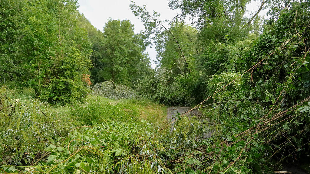 Unwetter-Schäden in Salzburg