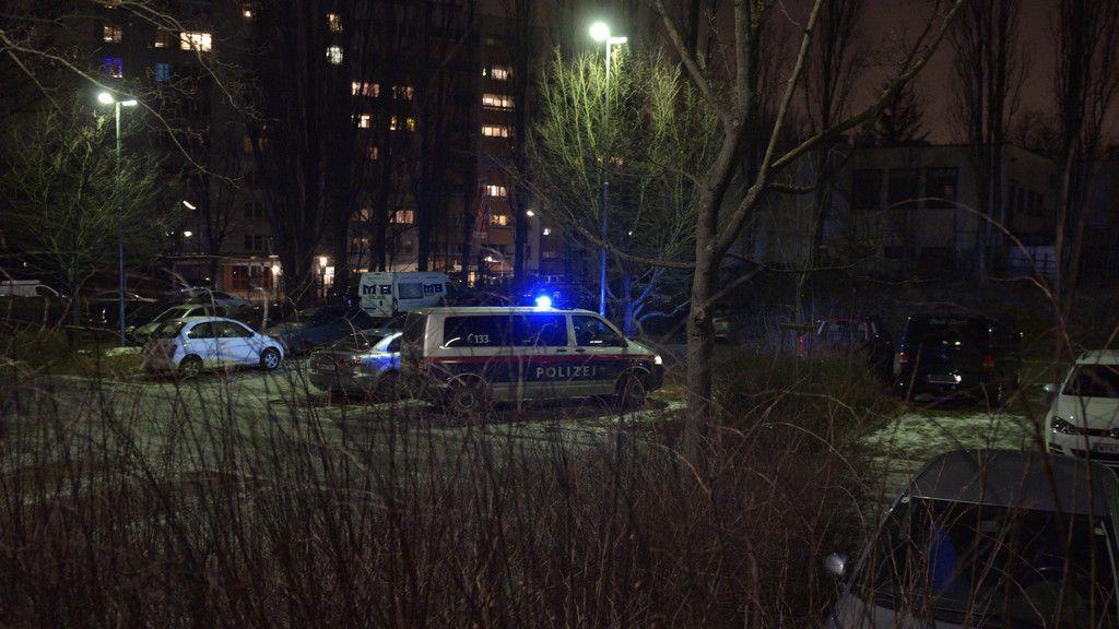 Frau in Wien verbrannt