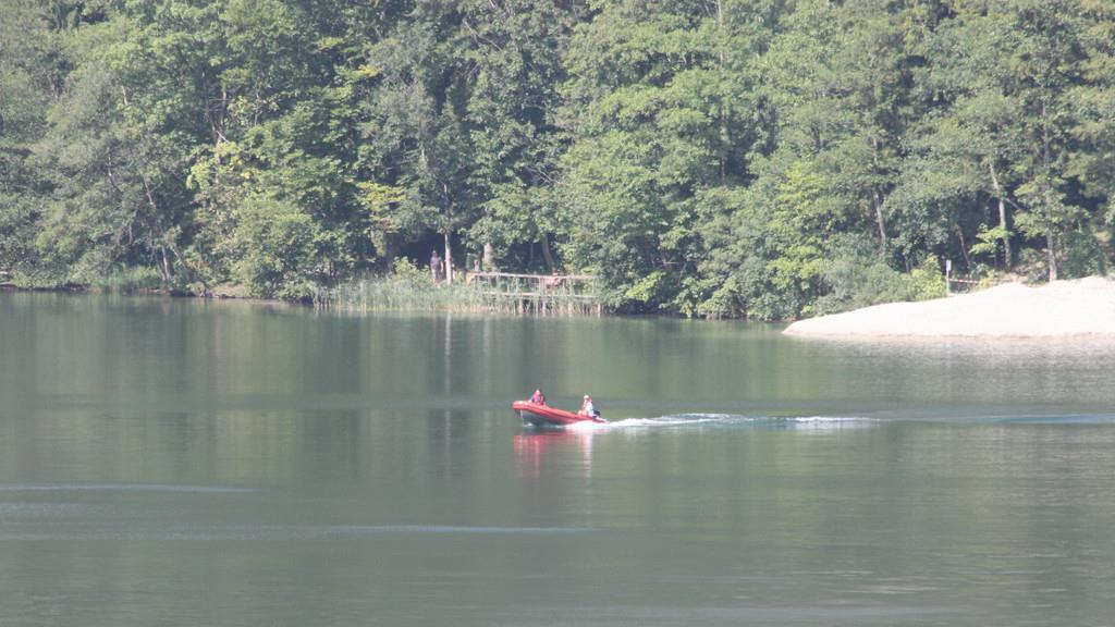 Waldbrand am Thumsee: Großeinsatz
