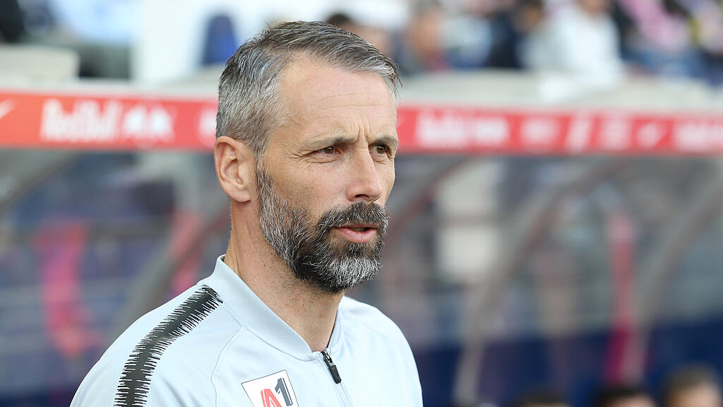Marco Rose, Trainer Red Bull Salzburg
