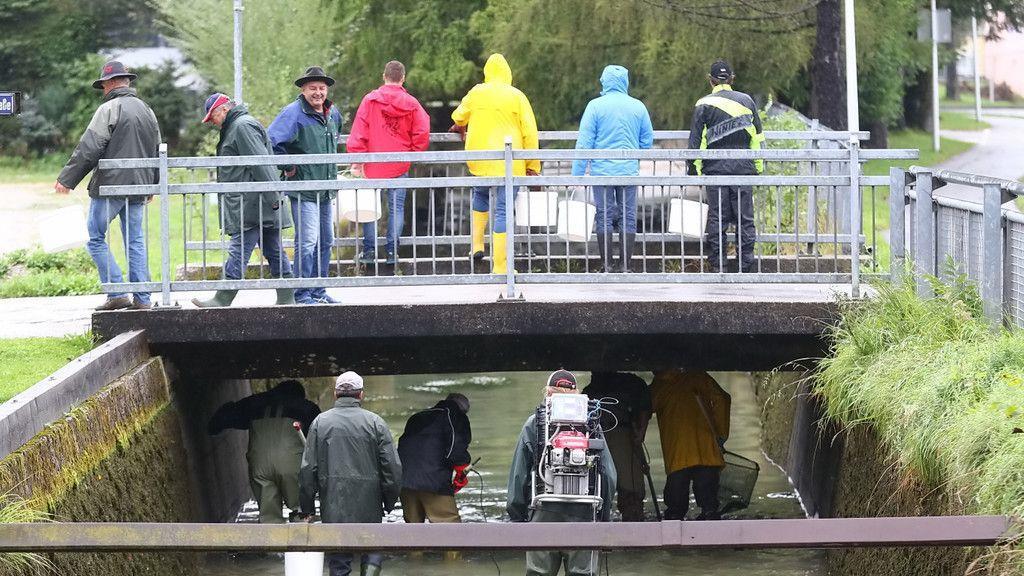Almkanal Reinigung
