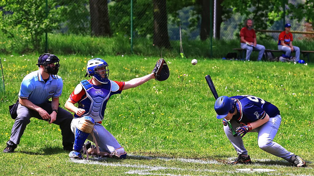 Braves Baseball Hallein_TVG Highlanders