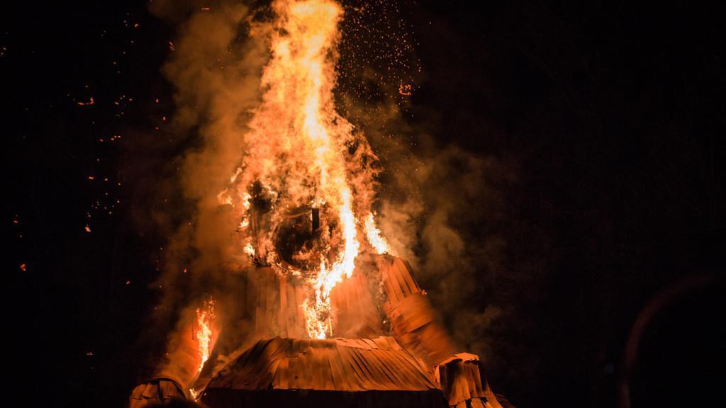 Burning Animal I