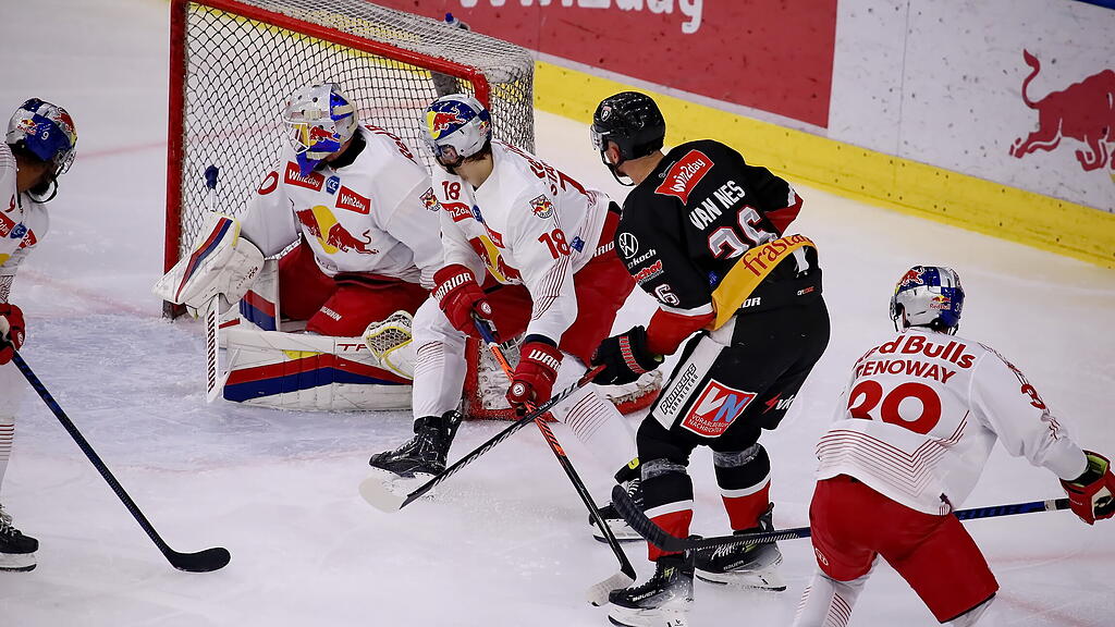 Red Bull Salzburg - Pioneers Vorarlberg