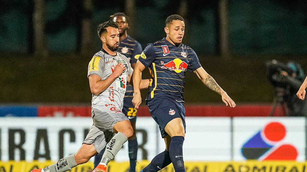 Halfbinale_Salzburg_WAC
