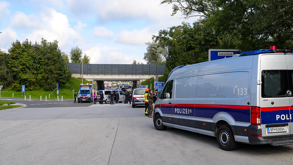 Demo FPÖ-Parteitag