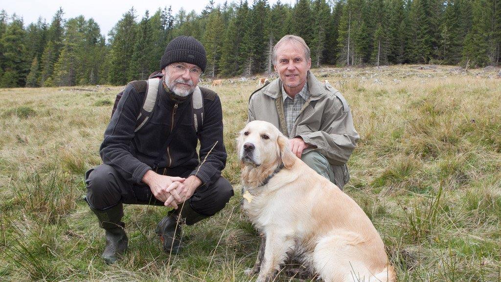 Bilder der Bärensuche im Lungau