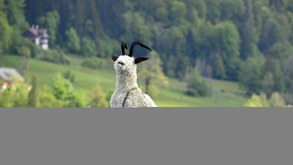 Narzissenfest am Grundlsee