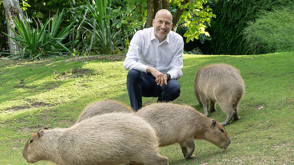 Martin Kocher Pate für Wasserschweine in Schönbrunn