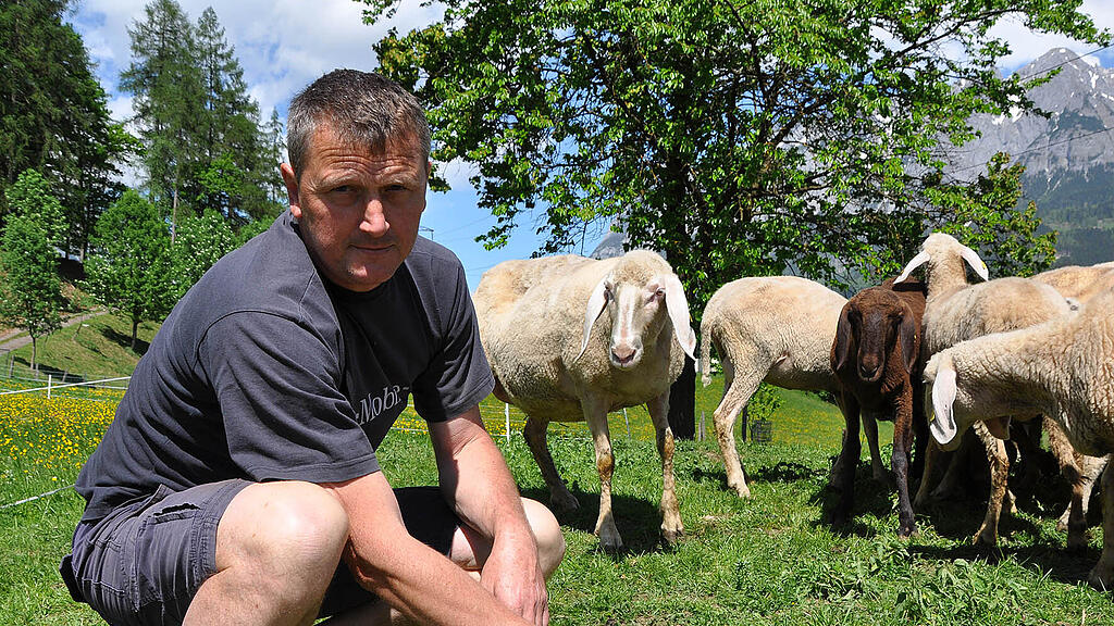 Landwirt Christian Kronreif zeigt sich schockiert, dass der Übergriff auf seine Schafherde in unmittelbarer Nähe der Siedlung erfolgte.