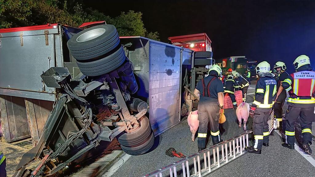 Schweinetransport kippt in NÖ um