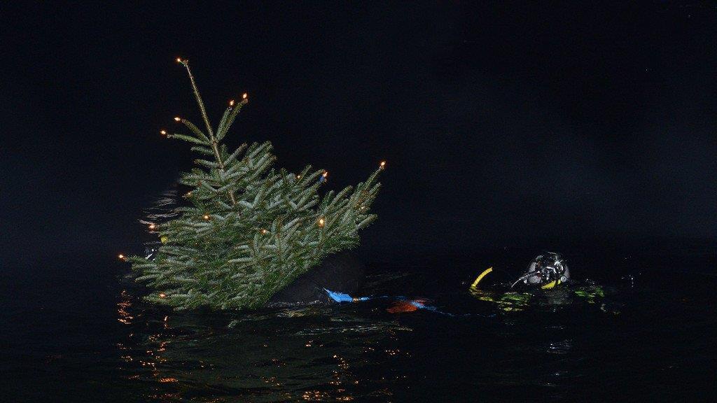 Christbaumtauchen am Traunsee
