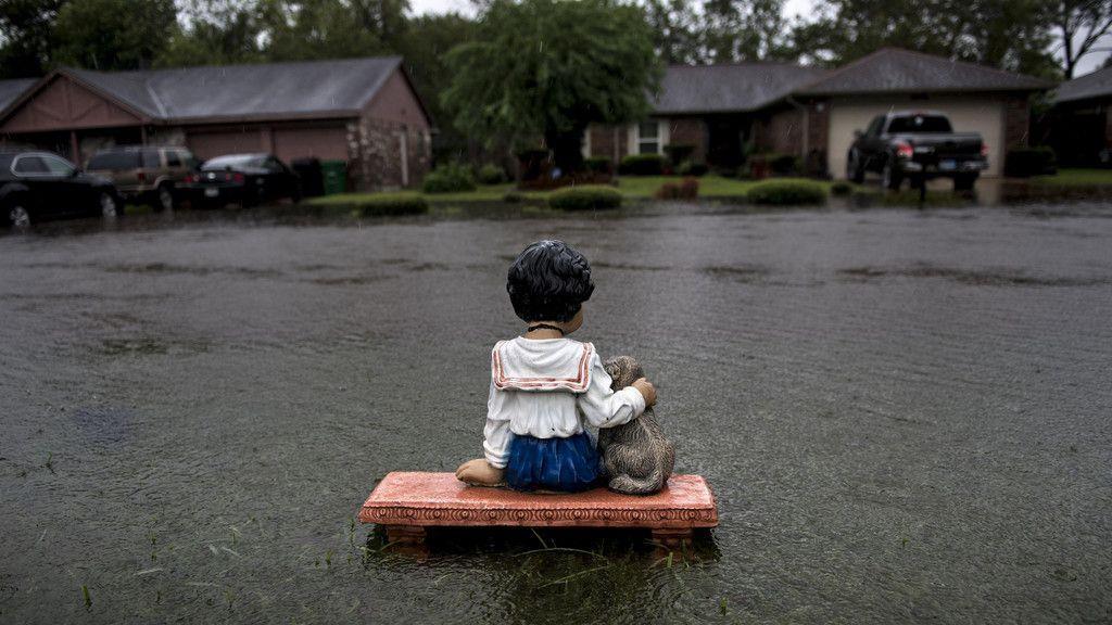 Aufräumen nach Hurrikan "Harvey"
