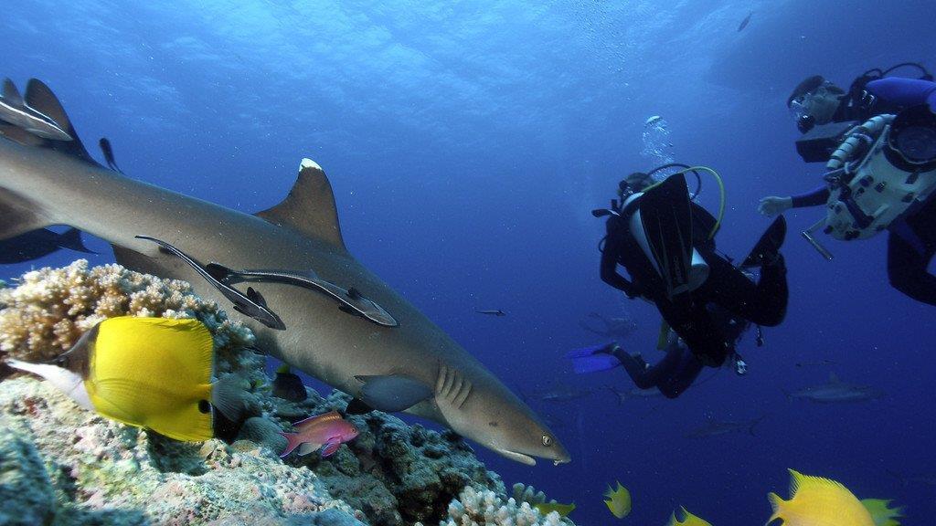 Great Barrier Reef