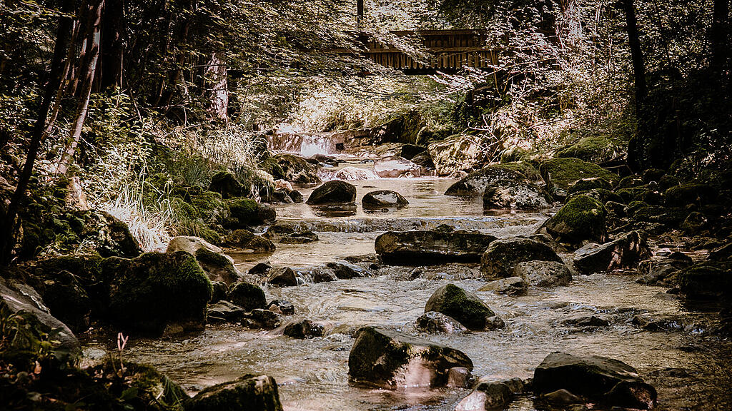 Alterbach, Gaisberg.jpg