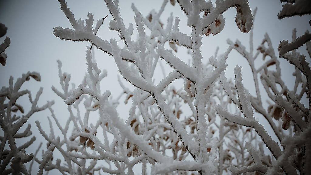 Schnee am Gaisberg