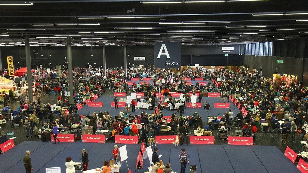 Festival der Hunde im Messezentrum Salzburg