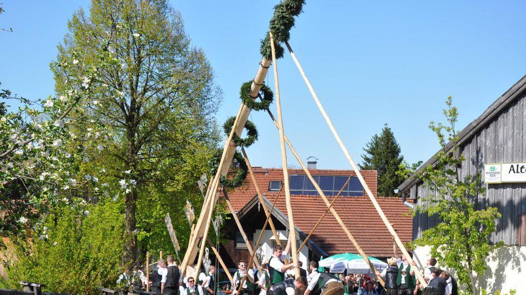 Maibaumaufstellen in Piding und Ainring