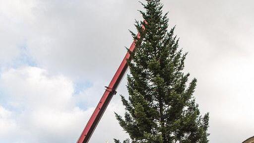 Christbaum am Residenzplatz I
