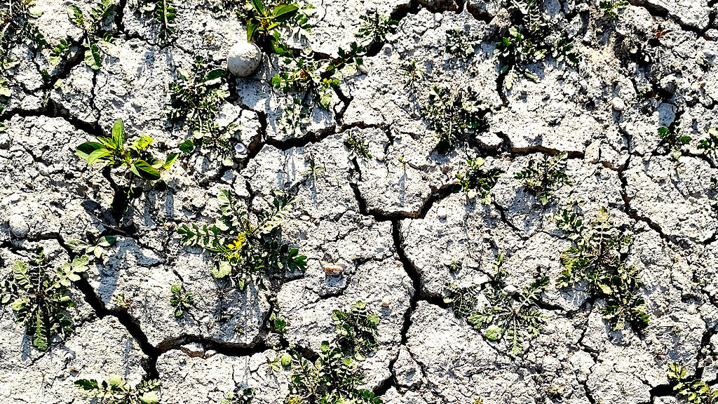 Dürre, Klima, Klimawandel, SB