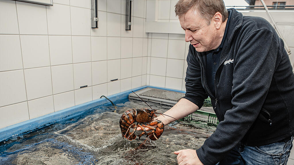 Walter Grüll, Sonntagstalk, Fisch, Fischzüchter