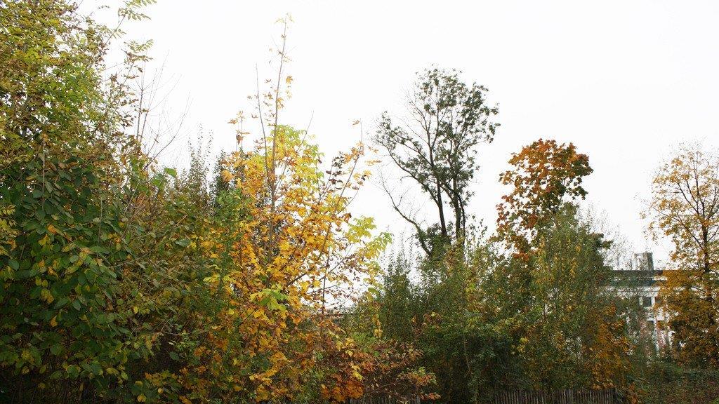 Hier soll gebaut werden