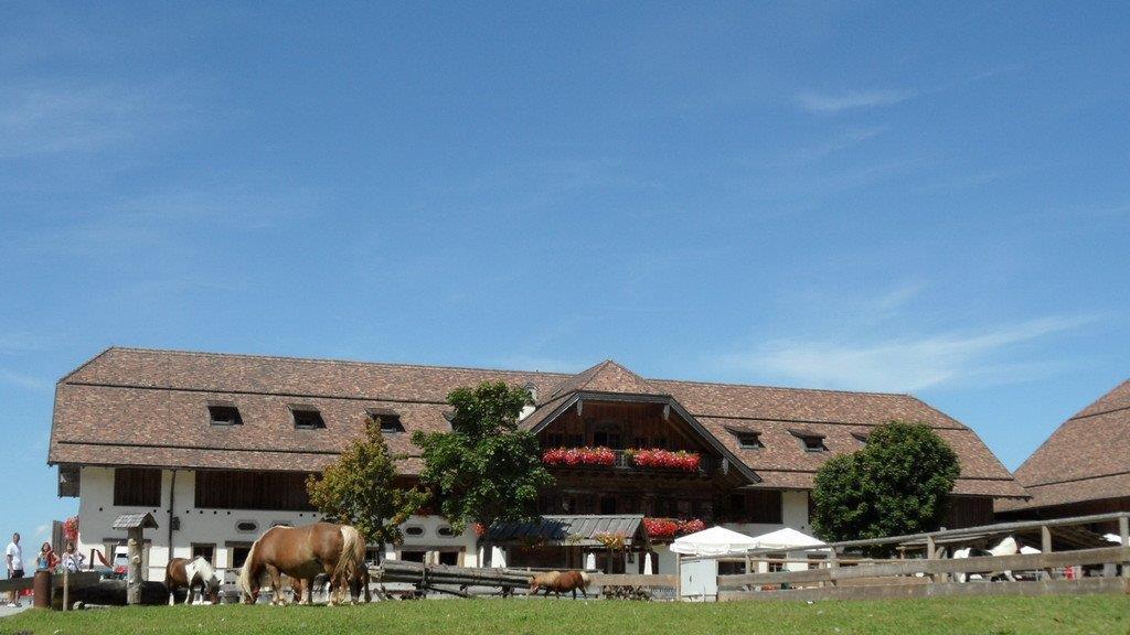 Weitere Tierbilder