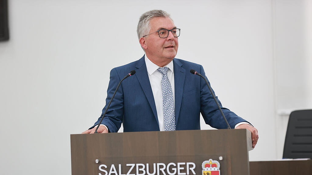 schwaiger hearing salzburger landesregierung