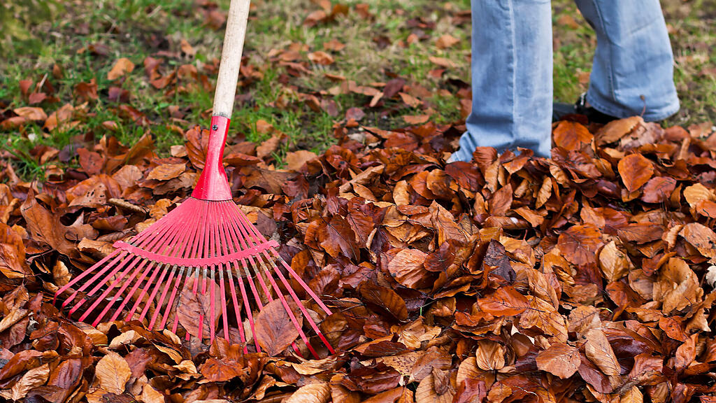 symb_herbst symb_garten