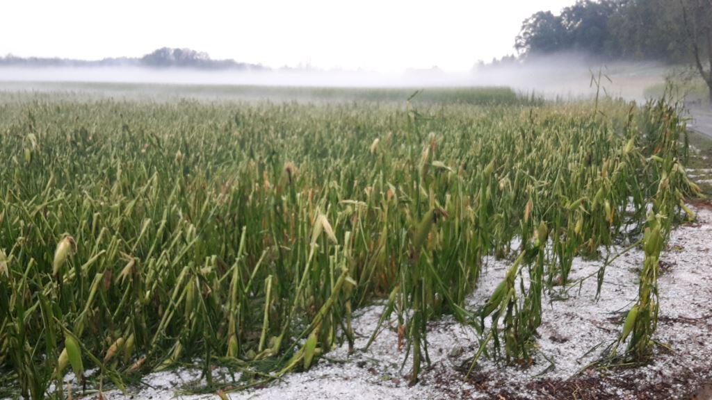 Die verheerenden Unwetter verursachten erhebliche Schäden für die Landwirtschaft.