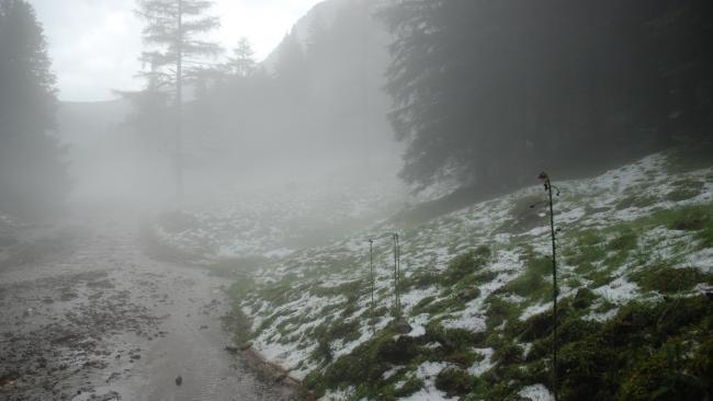 Murenabgänge in Göriach