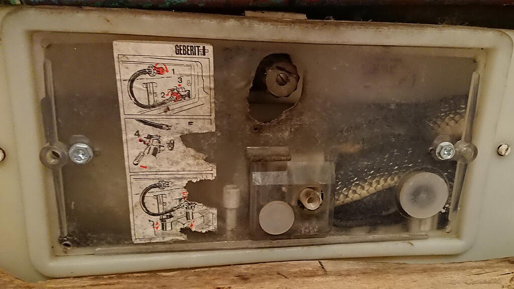 HANDOUT  NIEDERÖSTERREICH SCHLANGE IN WC-SPÜLKASTEN IM BEZIRK MÖDLING ENTDECKT =(2).jpg