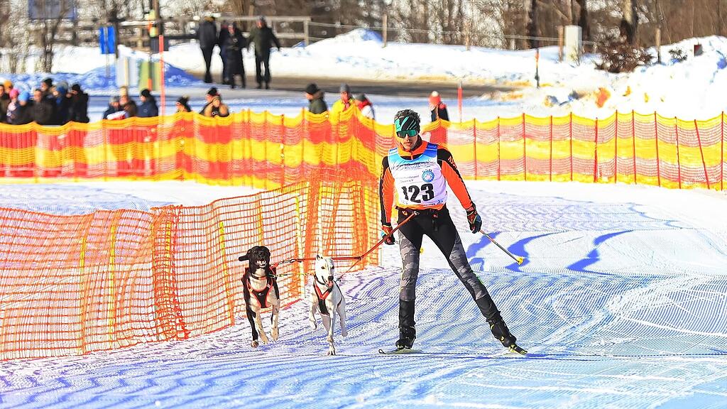 25. Hundeschlittenrennen in Werfenweng