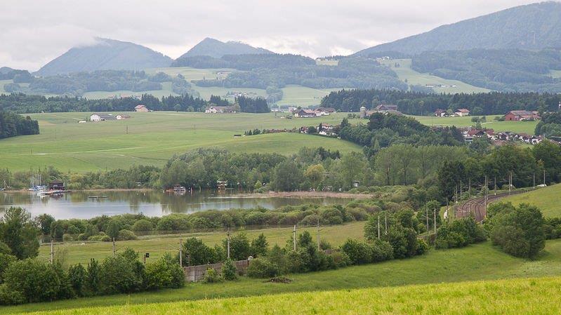 Wallersee trat über Ufer