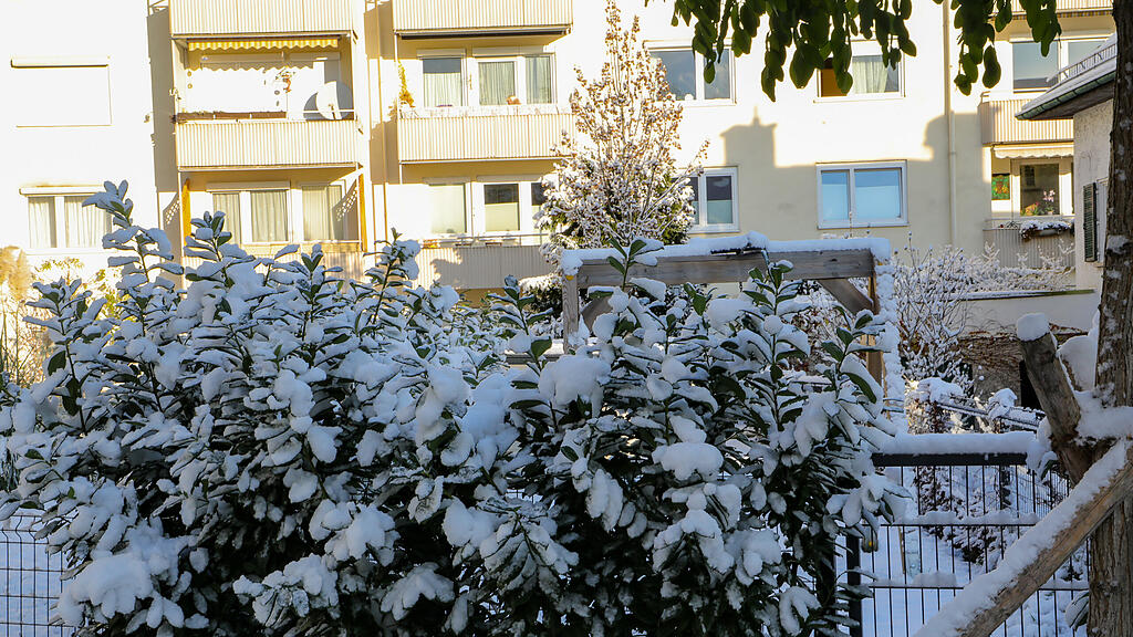 20241122_fmt_erster_schnee_salzburg_mw-9.jpg