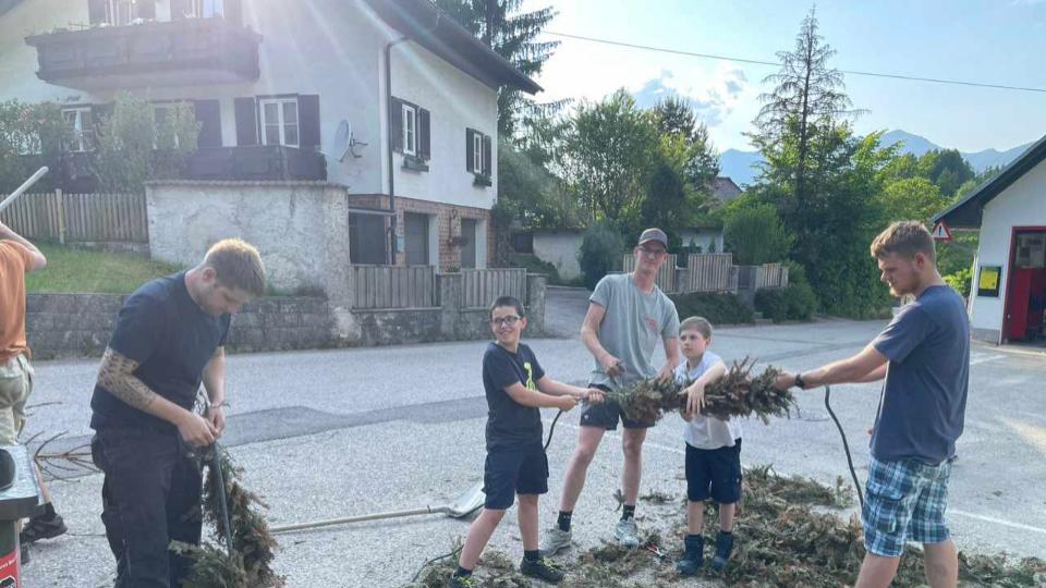 Maibaum Perneck