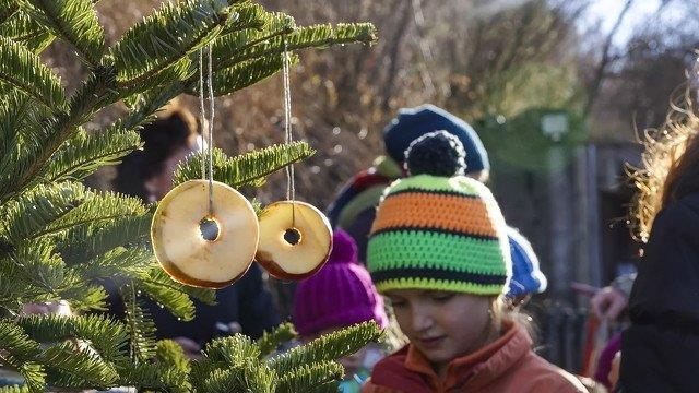Warten aufs Christkind im Zoo