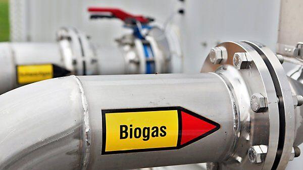 Biogas ist im Kommen
