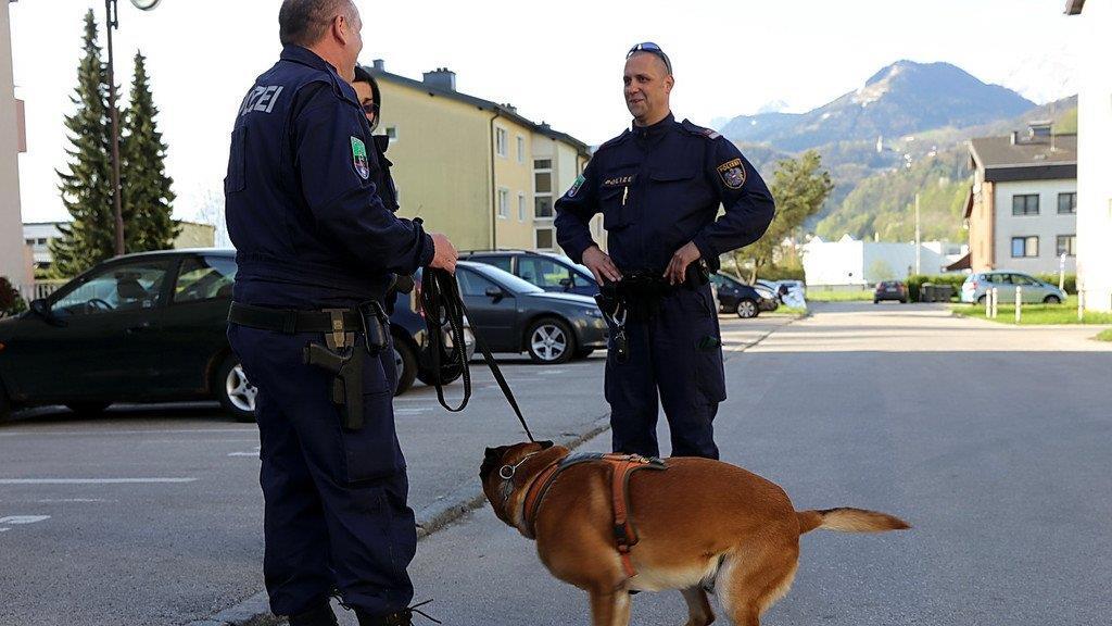 Großfahndung nach Überfall in Hallein II