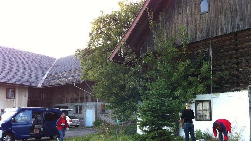 Bilder vom Tatort II