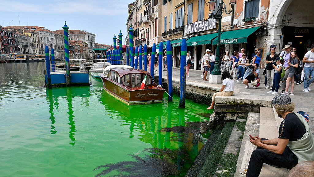 Grüner Canale Grande in Venedig