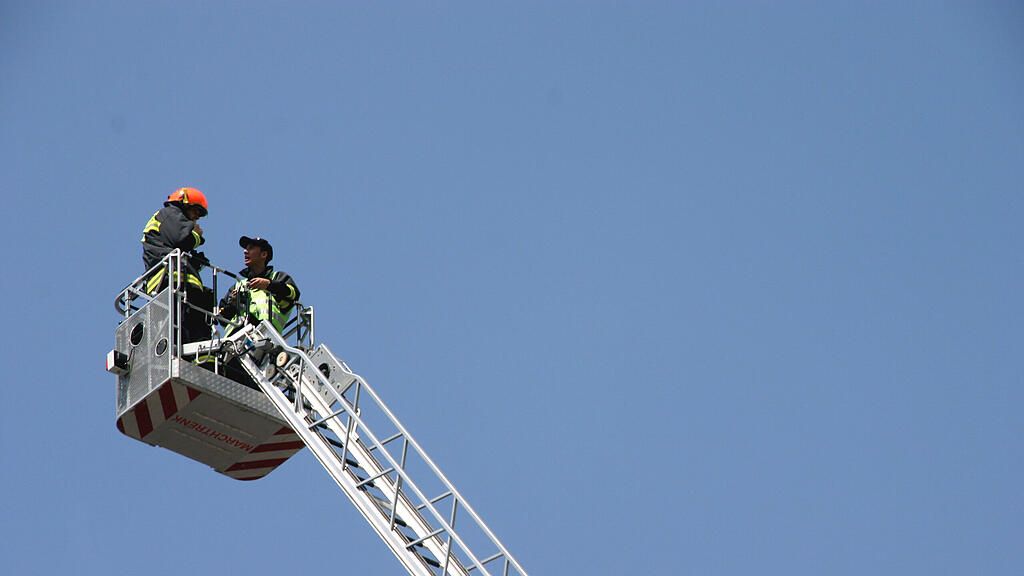 Die Feuerwehr holte das Kätzchen mit einer Drehleiter vom Baum. (Symbolbild)