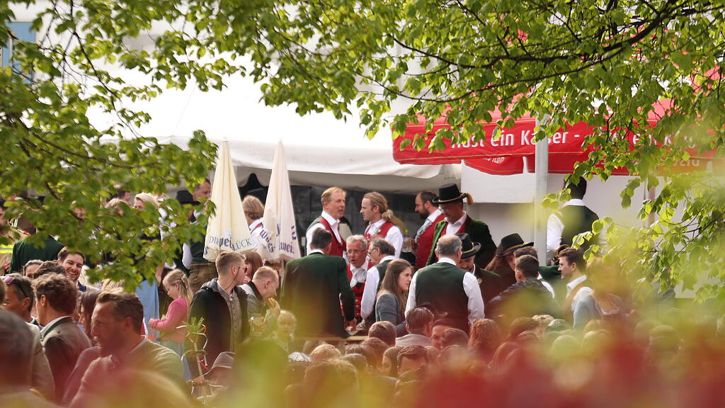 Maibaumaufstellen in Anif