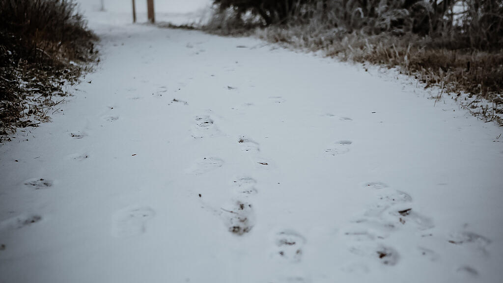 Schnee am Gaisberg